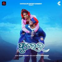 Phulei Abinash Dash Song Download Mp3