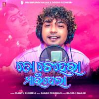 To Chehera Maridela Mantu Chhuria Song Download Mp3