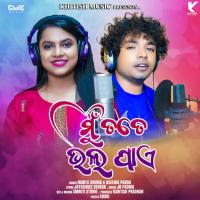 Mu Tate Bhala Paye Mantu Churia,Aseema Panda Song Download Mp3