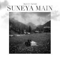 Suneya Main Wazir Patar Song Download Mp3