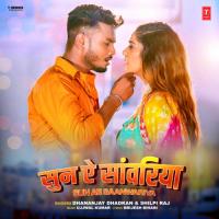 Sun Ae Saanwariya Dhananjay Dhadkan,Shilpi Raj,Ujjwal Kumar Song Download Mp3