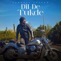 Dil De Tukde Sandeep Aulakh Song Download Mp3