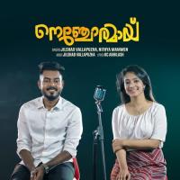 Poovithal Jilshad Vallapuzha,Nithya Mammen Song Download Mp3