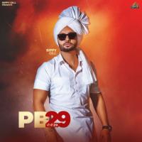 PB29 Guns Sippy Gill Song Download Mp3