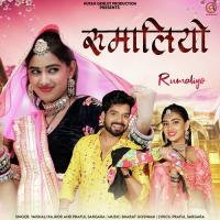 Rumaliyo Praful Sargara,Vaishali Rajkor Song Download Mp3