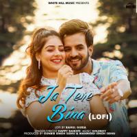 Ja Tere Bina (Lofi Version) Happy Raikoti Song Download Mp3