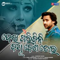 Dekhi Paribini Badhu Besa Tora Humane Sagar Song Download Mp3