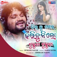 Dil Ku Mora Karibunilo Tukuda Tukuda Humane Sagar Song Download Mp3