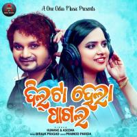 Dil Ta Hela Pagala Humane Sagar,Aseema Panda Song Download Mp3