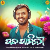 Gaja Gamini Abinash Dash Song Download Mp3