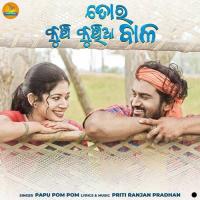 Tora Kunch Kunchia Bala Papu Pom Pom Song Download Mp3