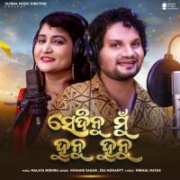 Sedinu Mu Hunu Hunu Humane Sagar,Ira Mohanty Song Download Mp3