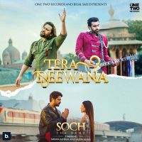 Tera Deewana Soch,Adnan Dhool Song Download Mp3