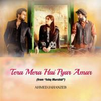 Tera Mera Hai Pyar Amar (From Ishq Murshid) Ahmed Jahanzeb Song Download Mp3