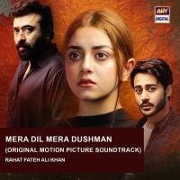 Mera Dil Mera Dushman (Original Motion Picture Soundtrack) Rahat Fateh Ali Khan Song Download Mp3