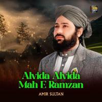 Alvida Alvida Mah E Ramzan Amir Sultan Song Download Mp3