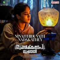 Njanaakum En Lokam Raazi Song Download Mp3