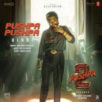 Pushpa Pushpa (From Pushpa 2 The Rule)  - Hindi Mika Singh,Nakash Aziz,Devi Sri Prasad,Raqueeb Alam Song Download Mp3