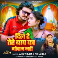 Dil Hai Tere Baap Ka Godam Nahi Neha Raj,Ankit Ojha Song Download Mp3