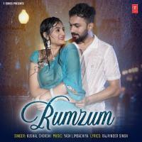 Rumzum Kushal Chokshi,Yash Limbachiya Song Download Mp3