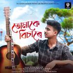 Tumake Bisare Pulak Konwar Song Download Mp3