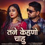 Tane Kehno Chahu Twinkal Vaishnav,Tejpal Song Download Mp3