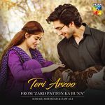 Teri Arzoo Sohail Shehzad,Zaw Ali Song Download Mp3