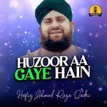 Huzoor Aa Gaye Hain Hafiz Ahmed Raza Qadri Song Download Mp3