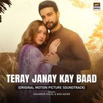 Teray Janay Kay Baad (Original Motion Picture Soundtrack) Shahmeer Shazil,Nish Asher Song Download Mp3