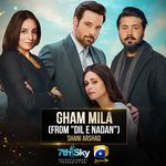 Gham Mila Shani Arshad Song Download Mp3