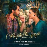 Aapka Ho Gaya Wajhi Farooki Song Download Mp3