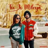 Tu Jo Mileya Juss Song Download Mp3