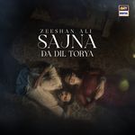 Sajna Da Dil Torya Zeeshan Ali Song Download Mp3