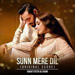 Sunn Mere Dil (Original Score) Rahat Fateh Ali Khan Song Download Mp3