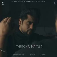 Theek Hai Na Tu Sarang Sikander Song Download Mp3