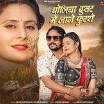 Dholiya Busat Me Lage Futro Salim Shekhawas,Shilpa Bidawat Song Download Mp3