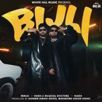 Bijli Ninja Song Download Mp3