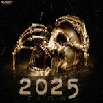 2025 Flow Summy Song Download Mp3