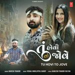 Tu Hovi To Jove Naresh Thakor,Vishal Modi,Utpal Barot Song Download Mp3