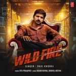 Wild Fire Ravi Khoraj,Jitu Prajapati Song Download Mp3