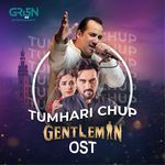 Tumhari Chup Rahat Fateh Ali Khan Song Download Mp3