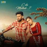 C Da Matlab Baaghi Song Download Mp3