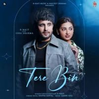 Tere Bin R Nait,Shipra Goyal Song Download Mp3