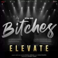 Bitches Elevate Dilraj Grewal Song Download Mp3