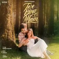 Tere Bina Main Inder Chahal Song Download Mp3