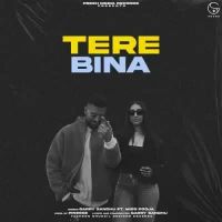 Tere Bina Garry Sandhu,Miss Pooja Song Download Mp3