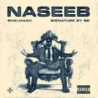 Naseeb Bhalwaan Song Download Mp3