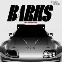 Barks Wazir Patar Song Download Mp3