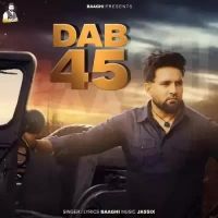 Dab 45 Baaghi Song Download Mp3