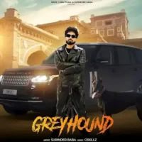 Greyhound Surinder Baba Song Download Mp3